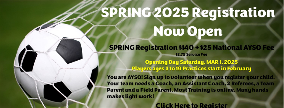 SPRING Core 2025 Registration